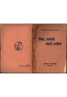 NEI SOLCHI DELL'ODIO di Attilio Baradel 1925 Toffaloni Libro I guerra mondiale