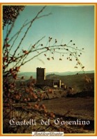 CASTELLI DEL CASENTINO di Alfio Scarini 1977 Centrostampa Libro illustrato