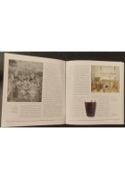 DALLA PIANTA AL BANCHETTO sulle strade dell'olio e del vino di Puglia 2002 Libro
