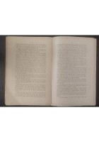LIBERI PENSATORI BRUCIATI IN ROMA di Domenico Orano 1904 Unione Cooperativa Libr