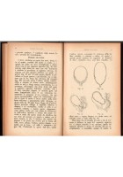 L'OSTETRICO PRATICO TRATTATO DI OSTETRICIA IMPRONTATO Cassio Cassioli 1938 Libro
