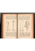L'OSTETRICO PRATICO TRATTATO DI OSTETRICIA IMPRONTATO Cassio Cassioli 1938 Libro