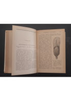 OSTETRICIA PRATICA ED OPERAZIONI OSTETRICHE di Renda 1926 Hoepli Libro Manuale