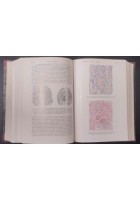 TRATTATO DI ANATOMIA PATOLOGICA SPECIALE 3 Volumi Kaufmann 1925 Vallardi Libro