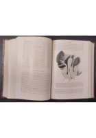 TRATTATO DI ANATOMIA PATOLOGICA SPECIALE 3 Volumi Kaufmann 1925 Vallardi Libro