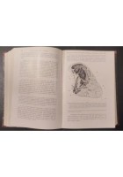 TRATTATO DI ANATOMIA PATOLOGICA SPECIALE 3 Volumi Kaufmann 1925 Vallardi Libro