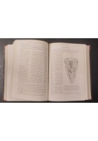 TRATTATO DI ANATOMIA PATOLOGICA SPECIALE 3 Volumi Kaufmann 1925 Vallardi Libro