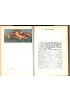 STORIE D'AMORE ANTICHE Leucippe e Clitofonte Dafni Cloe Anzia 1987 Dedalo Libro