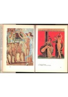 STORIE D'AMORE ANTICHE Leucippe e Clitofonte Dafni Cloe Anzia 1987 Dedalo Libro