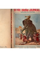 IL RE DELLA GIUNGLA di L Motta e C Ciancimino 1934 Grandi Avventure Libro romanz