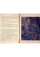 IL RE DELLA GIUNGLA di L Motta e C Ciancimino 1934 Grandi Avventure Libro romanz