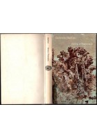 SELVA E TORRENTE di Gabriele Baldini 1970 Einaudi Libro romanzo I edizione