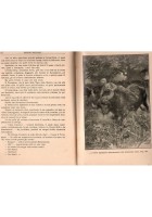 SANDOKAN ALLA RISCOSSA di Emilio Salgari 1936 Sonzogno Libro romanzo d'avventure