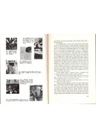 SITUAZIONI DELLA PITTURA IN SICILIA 1940 1970 di D'Alessandro 1975 Celebes Libro