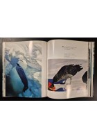 ANTARTIDE di Carlo Mauri 1968 Zanichelli Libro conquista viaggio polo sud