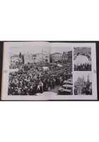 ANTONIO STORIA DI UNA DEVOZIONE DA PADOVA AL MONDO 2010 Messaggero Libro santo
