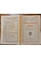 UNA SCUOLA ELEMENTARE DI NEW YORK documenti didattici Horace Mann 1924 Libro