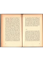 CAPRICCIO ITALIANO Romanzo di Edoardo Sanguineti 1967 Feltrinelli Libro