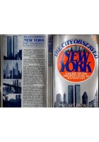 THE CITY OBSERVED NEW YORK di Paul Goldberger 1979 Vintage Books Libro guide