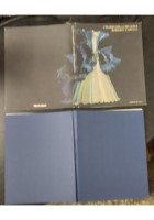 L'ELOGIO DELLA BELLEZZA di Roberto Capucci 2000 De Luca Libro arte galleria