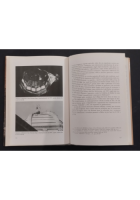 LA CHIESA MATRICE A MOLA DI BARI di P Lisimberti A Todisco 1997 Schena Libro