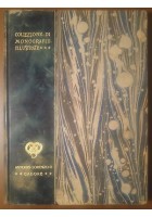 CADORE di Antonio Lorenzoni 1907 Italia Artistica istituto arti grafiche Bergamo