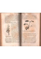 ELEMENTS DE BOTANIQUE di P Duchartre 1877 Bailliere Libro anatomie phisiologie