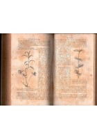 ELEMENTS DE BOTANIQUE di P Duchartre 1877 Bailliere Libro anatomie phisiologie