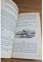 SCONTRO MORTALE di Joe Dever 1990 E Elle LIBROGAME lupo solitario 12 libro