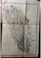 HISTORIAE DUAE ANEURYSMATUM di Carlo Guattani 1745 libro antico medicina Palladi