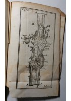 HISTORIAE DUAE ANEURYSMATUM di Carlo Guattani 1745 libro antico medicina Palladi