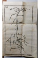 HISTORIAE DUAE ANEURYSMATUM di Carlo Guattani 1745 libro antico medicina Palladi