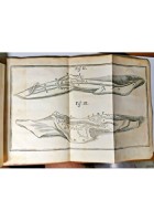HISTORIAE DUAE ANEURYSMATUM di Carlo Guattani 1745 libro antico medicina Palladi