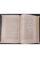 LE DIVERSE FORME DEI FIORI IN PIANTE DELLA STESSA SPECIE Darwin 1884 UTET Libro