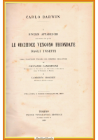 DIVERSI APPARECCHI ORCHIDEE FECONDATE DAGLI INSETTI di C Darwin 1883 UTET Libro