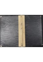 DIVERSI APPARECCHI ORCHIDEE FECONDATE DAGLI INSETTI di C Darwin 1883 UTET Libro