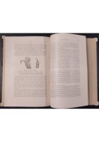 DIVERSI APPARECCHI ORCHIDEE FECONDATE DAGLI INSETTI di C Darwin 1883 UTET Libro