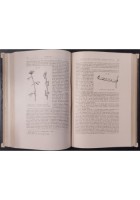 IL POTERE DI MOVIMENTO NELLE PIANTE Carlo Darwin 1884 UTET LIbro antico Charles