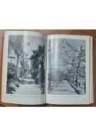 NATURA E MONTAGNA 3 annate complete 1962 1963 1964 rivista trimestrale natura