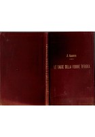 LE CAUSE DELLA FEBBRE TIFOIDEA di J Gasser 1893 UTET libro antico medicina