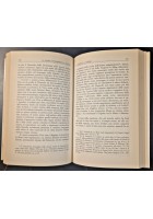 LE MUSE LE MASCHERE E IL SUBLIME Vico e la poesia di Lollini 1994 Guida Libro