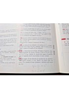 UN'INTRODUZIONE ALLA FISICA di Ugo Amaldi 2002 Zanichelli libro