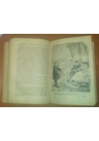 VITA E VIAGGI DI CRISTOFORO COLOMBO Cesare Causa 1892 Salani Francesco Zanolini