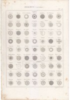 ARALDICA COCCARDE INCISIONE STAMPA Antica 1866 TAVOLA ORIGINALE Europa America