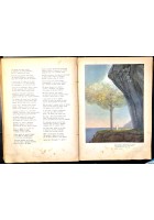 LA DIVINA COMMEDIA di Dante Alighieri 105 tavole a colori Galizzi 1943 Libro