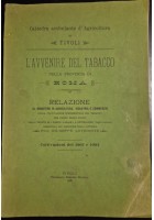 L'AVVENIRE DEL TABACCO NELLA PROVINCIA DI ROMA Giuseppe Lotrionte 1905