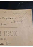 L'AVVENIRE DEL TABACCO NELLA PROVINCIA DI ROMA Giuseppe Lotrionte 1905