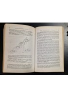 ORIGINS AND EVOLUTION OF LANGUAGE AND SPEECH 1976 New York Academy Science Libro
