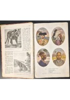 ZOOLOGIA E BOTANICA di Paolo Enriques 1910 Zanichelli ad uso delle scuole libro