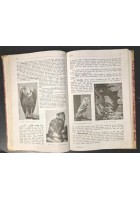 ZOOLOGIA E BOTANICA di Paolo Enriques 1910 Zanichelli ad uso delle scuole libro